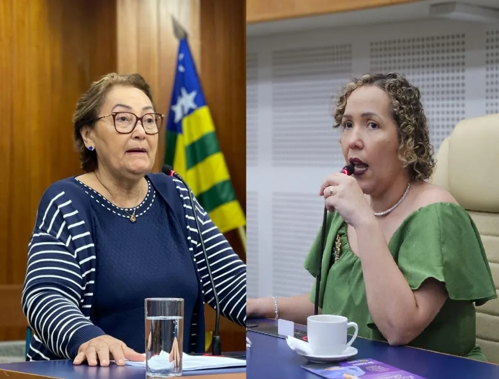 CCJ aprova projeto que prevê lixeiras ecológicas em praças, bosques e centros esportivos de Goiânia